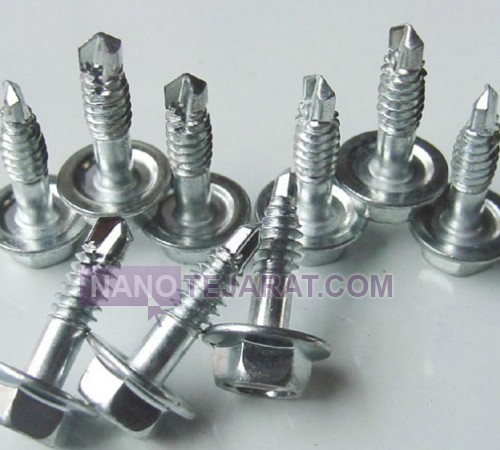 Roof Screw